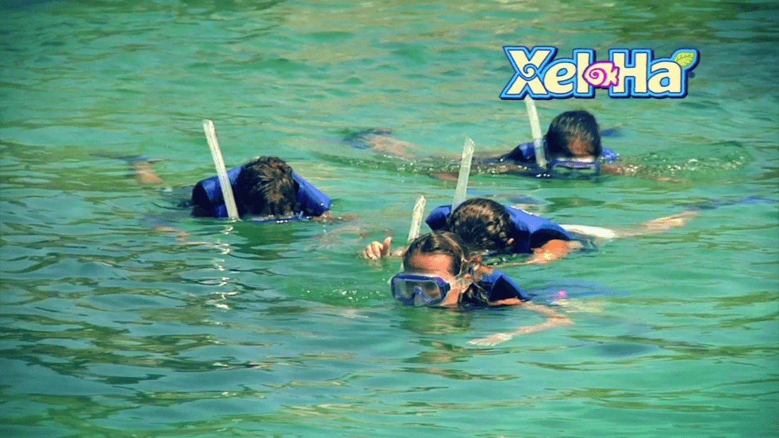 equipo de snorkel incluido en xel ha