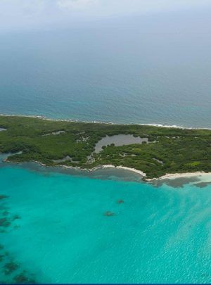 Isla Contoy playa virgen de Quintana Roo