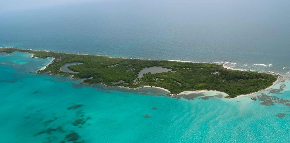 Isla Contoy playa virgen de Quintana Roo