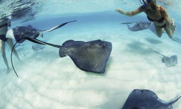 nado con rayas en xcaret