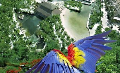 xcaret paquete plus