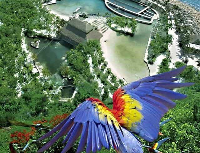 xcaret paquete plus