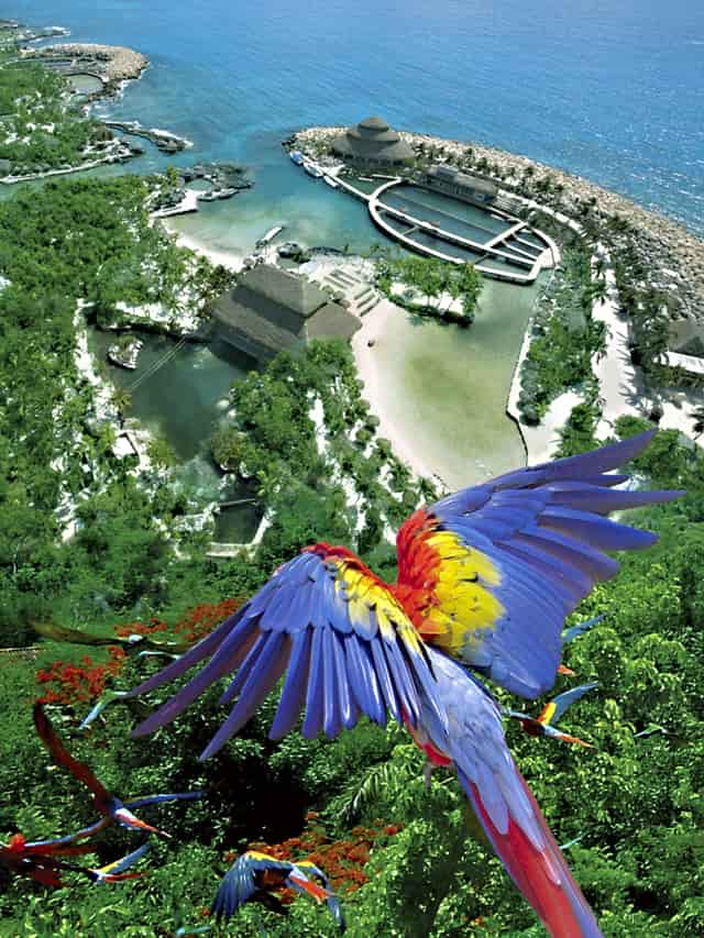 xcaret paquete plus