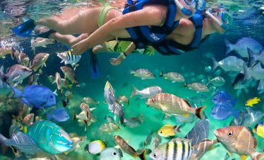 snorkeling in xel ha all inclusive