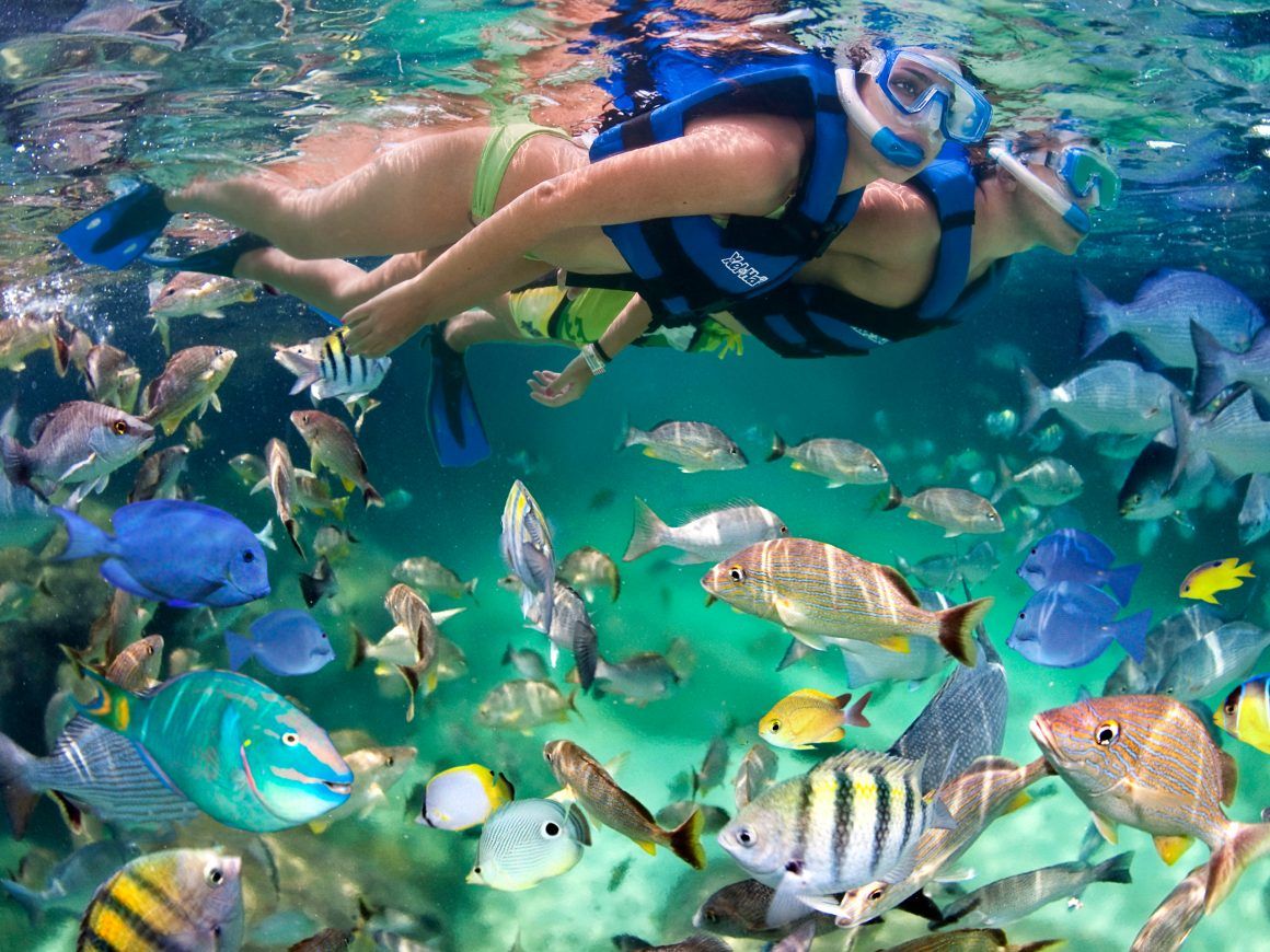 snorkeling in xel ha all inclusive