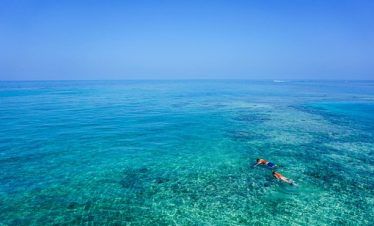 tour de snorkel en arrecife de la bahía Akumal