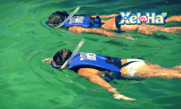 snorkel en xel ha primera vez
