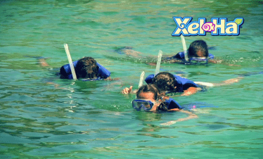 equipo de snorkel incluido en xel ha