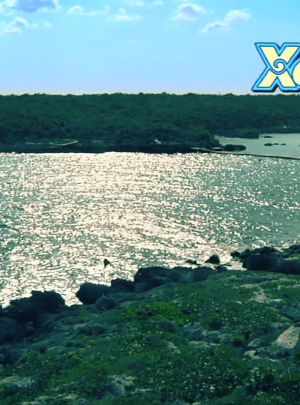 caleta del parque xel ha todo incluido