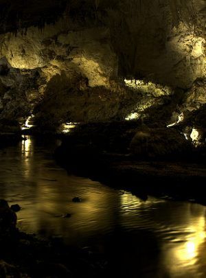 Cenotes