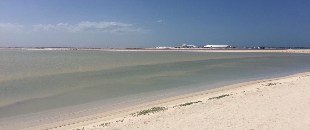 Las Coloradas en Yucatán cerca de salinera