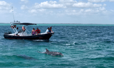 tour Isla Holbox