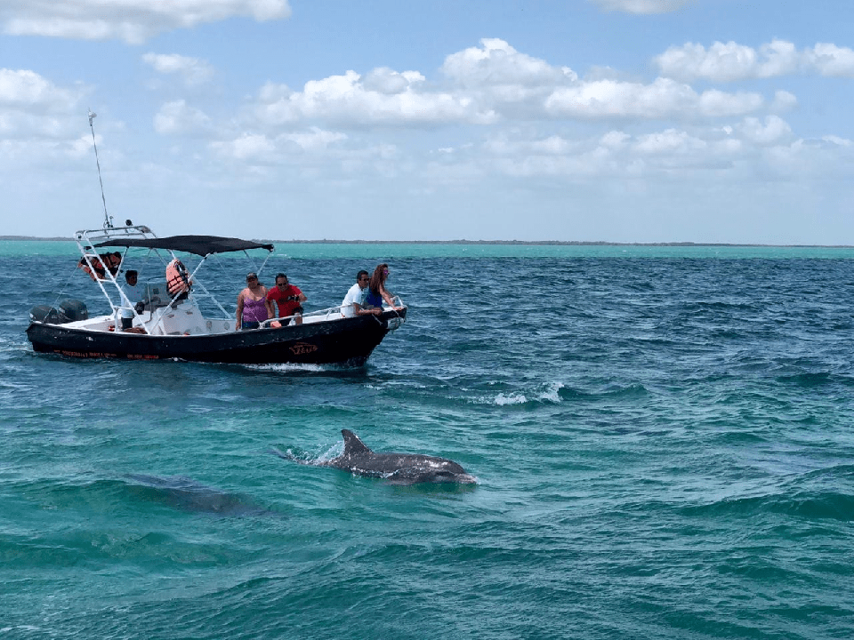 tour Isla Holbox