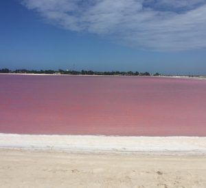 tour a salinera en Yucatán