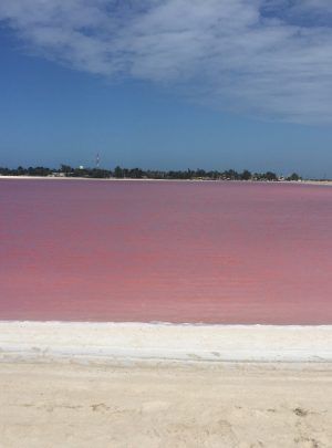 tour a salinera en Yucatán